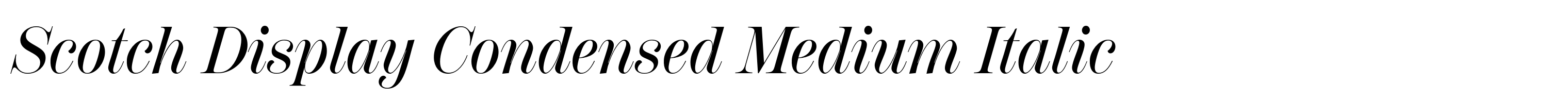 Scotch Display Condensed Medium Italic